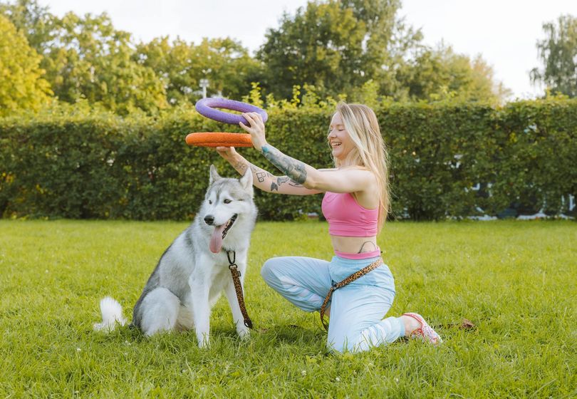 Saúde Animal Controlada: Prevenção e Cuidados Essenciais