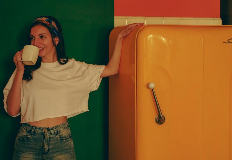 Compressor-Free Refrigerators: Myth or the New Standard of Energy Efficiency?