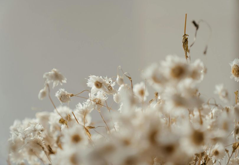 Décoration en Fleurs Séchées : Élégants Arrangements Faits à la Main pour Votre Intérieur