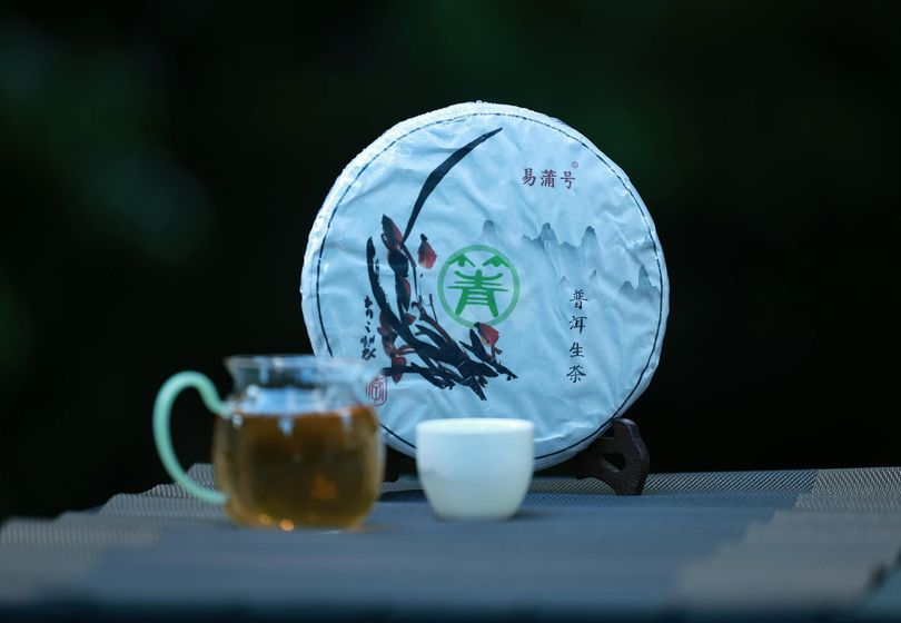 The Benefits of Pu-erh Tea: Why It’s Better Than Regular Green Tea
