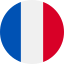 language icon