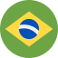 language icon