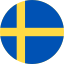 language icon