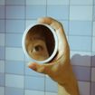 Post Images