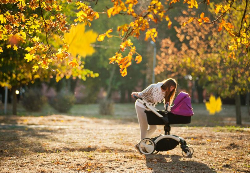 Best Strollers of 2025: Top 5 Models for Baby’s Comfort and Safety