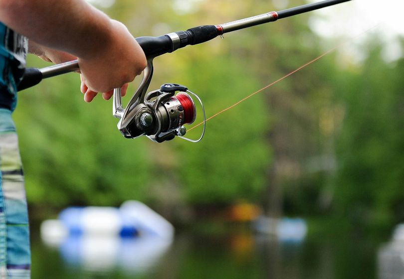 Fishing for Beginners: Essential Gear and Practical Tips