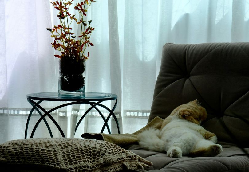 From Chaos to Comfort: Transform Your Space in 5 Steps