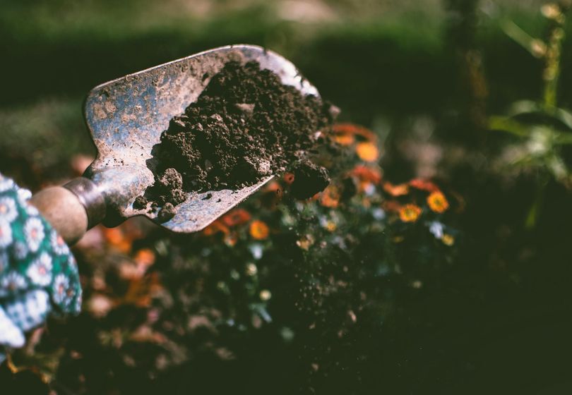 From Wasteland to Paradise: A Step-by-Step Landscaping Plan for a 600-Square-Meter Plot