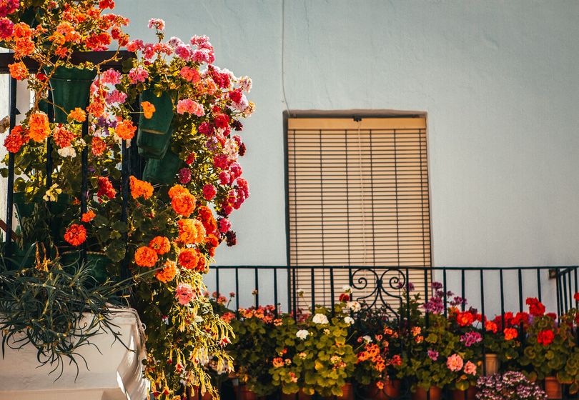 How to Turn Your Balcony into a Blooming Oasis – Tips for Beginners