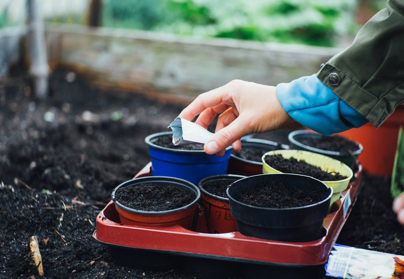 Ideas for a Cosy Garden: From Flower Beds to Relaxation Areas