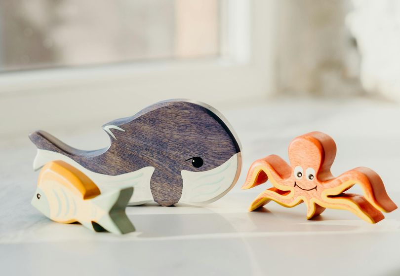 Toys Kids Absolutely Love: The Best Ideas