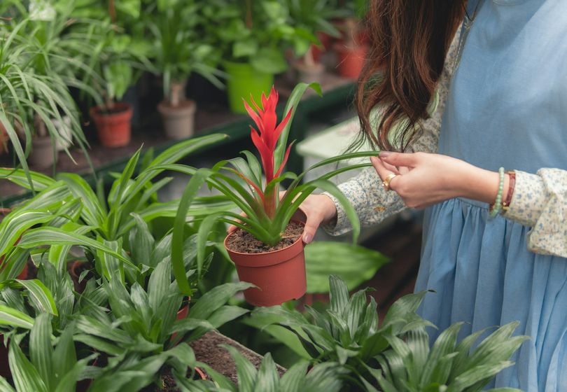 Transform Your Garden in a Weekend: Secrets to a Perfect Yard Without Breaking the Bank!