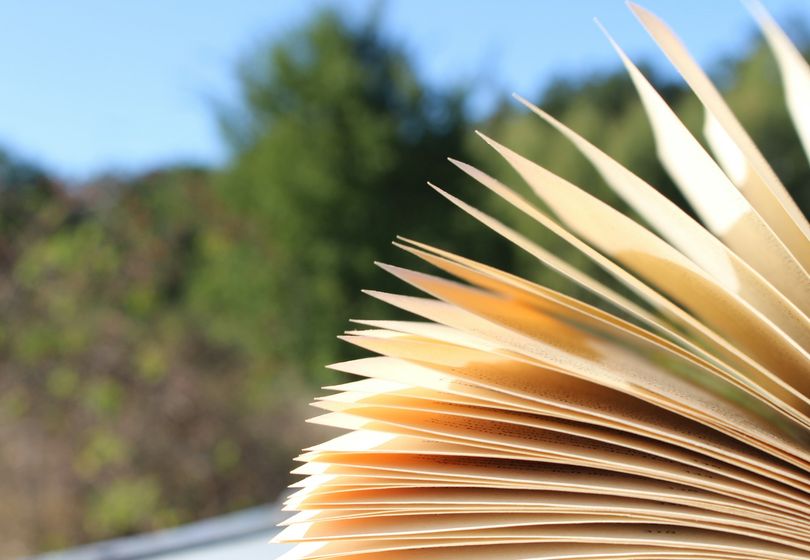 What Books to Read to Grow Faster